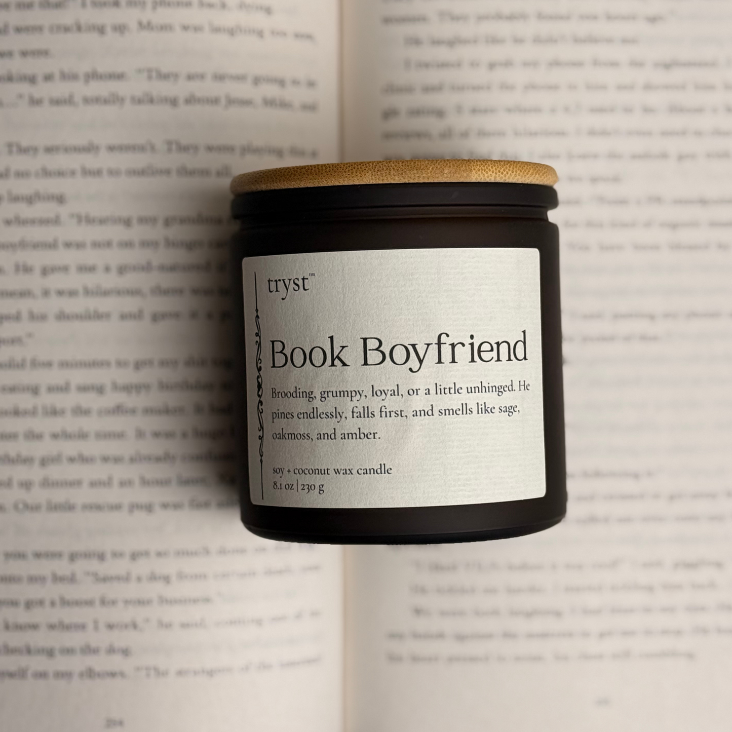Book Boyfriend