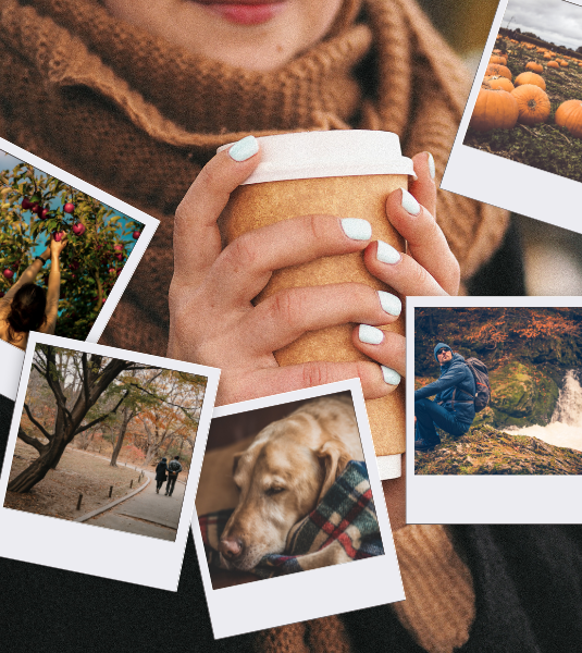 Autumn collage of a person holding a coffee cup, a dog on a blanket, and autumn scenes.